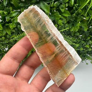 TOP QUALITY! Golden Phantom Selenite Slabs. Fishtail Selenite. Utah Raw Golden Selenite Slab / Wands. Utah Selenite. Sheet Selenite. Gift