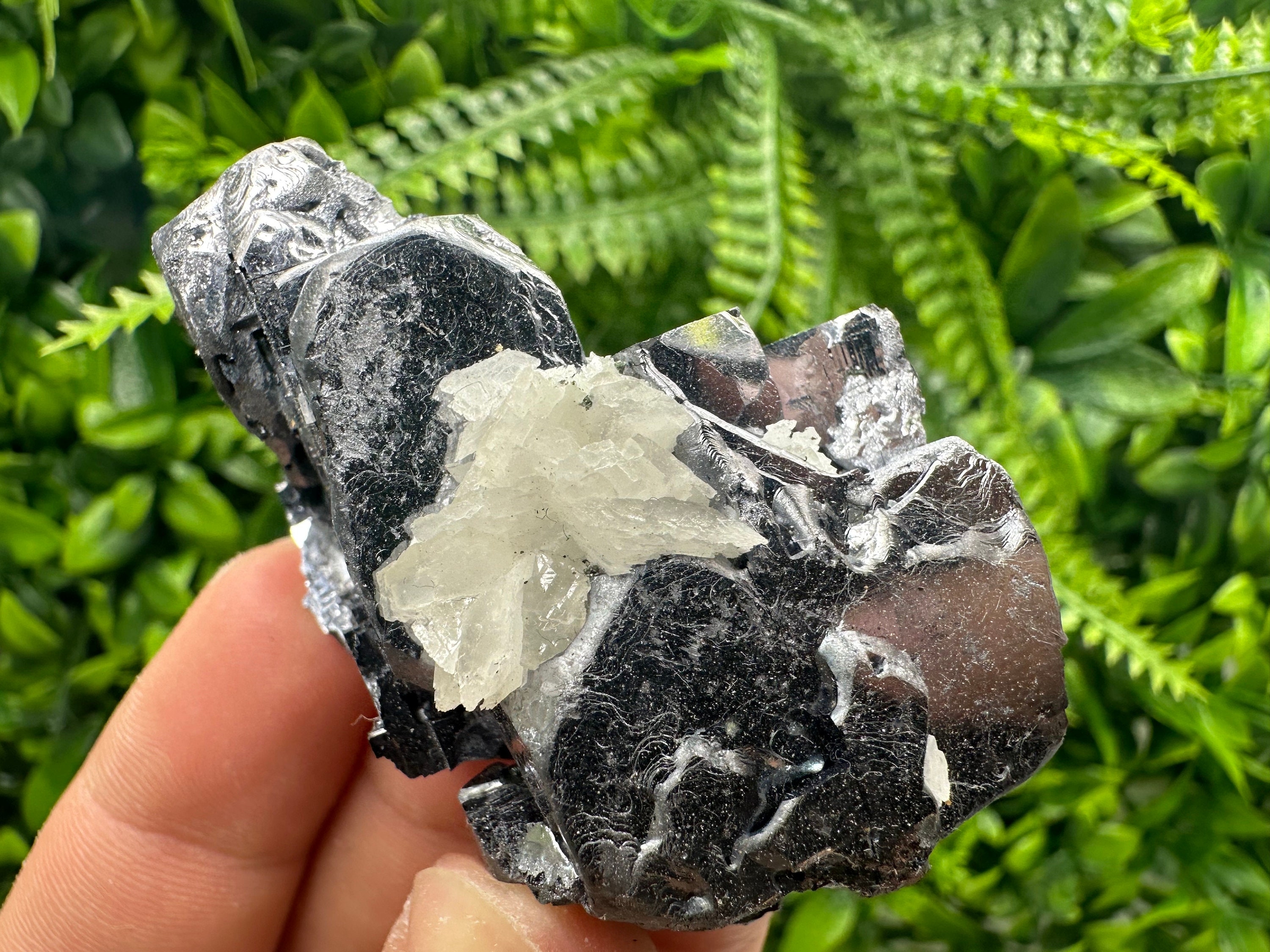 Wonderful shiny Galena on Sphalerite and Quartz natural minerals souvenir crystal gift collection home decor stone Borieva mine Bulgaria