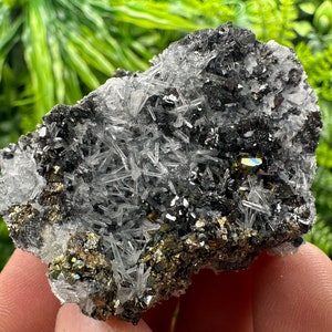 Wonderful Rainbow pyrite,Sphalerite on needles Quartz,natural minerals souvenir crystal gift collection stone,home decor Borieva Bulgaria