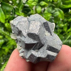 Wonderful shiny Galena on Pyrite natural minerals souvenir crystal gift collection home decor stone Borieva mine Madan Bulgaria natural ston