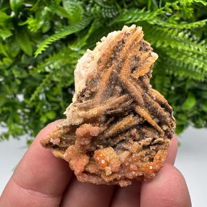 Red Vanadinite on Barite from Marocco,crystal minerals Speciment cluster Vanadinite crystal Vanadinite Geology Vanadinite cluster minerals