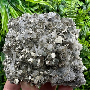Wonderful Shiny Golden Pyrite on Quartz,natural minerals souvenir crystal gift collection stone,home decor minerals,Borieva mine,Bulgaria