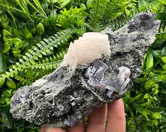 May include: A cluster of white selenite crystals on a dark gray and green matrix. The selenite crystals are translucent and have a layered appearance. The matrix is rough and textured.