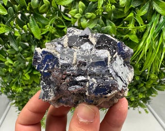 May include: A close-up of a dark, multi-faceted mineral specimen. The stone features a mix of dark blue, gray, and silver tones with a rough, textured surface. The mineral is held in a hand against a backdrop of green foliage.
