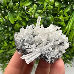 Sphalerite on Quartz: Rare Mineral Cluster from Borieva Mine, Bulgaria