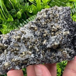 Incredible Pyrite on needle Quartz on Sphalerite natural minerals souvenir crystal home decor collection stone,gift Borieva mine Bulgaria