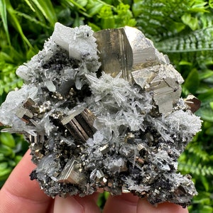 Stunning Rare crystallisation Pyrite on Quartz from Borieva mine,Madan,Bulgaria,natural minerals,souvenir crystal,home decor ,collection