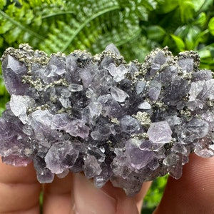 Amazing Quartz var. Amethyst deep purple colour whit Pyrite 100%natural minerals souvenir crystal rare Amethyst famous Chala mine Bulgaria