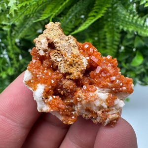Red Vanadinite on Barite from Marocco,crystal minerals Speciment cluster Vanadinite crystal Vanadinite Geology Vanadinite cluster minerals