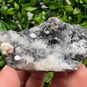 Wonderful Calcite,Galena on Quartz from Krushev dol mine,Madan,Bulgaria,Natural,collection mineral specimen,home decor stone,crystal,geology