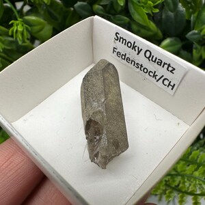 Raro quarzo fumé di Fedenstock (montagna) Svizzera, Minerale, Esemplare, Collezione, Quarzo nero, Minerale, Casa, Quarzo fumé, Punta di quarzo