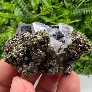 Wonderful shiny Galena on Pyrite natural minerals souvenir crystal gift collection home decor stone Borieva mine Madan Bulgaria natural ston