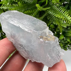 Peut inclure: Une formation cristalline translucide bleu clair avec une surface rugueuse et texturée. Le cristal a une forme rectangulaire avec des structures internes visibles et une petite tache de matière dorée. Le fond présente un feuillage vert.