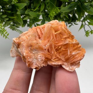 Wunderbarer Baryt mit Cerussit auf Galena aus Marokko, Bleikristall, Bleikristall,Cerussit Kristall,Kristalle, Bleikristall,