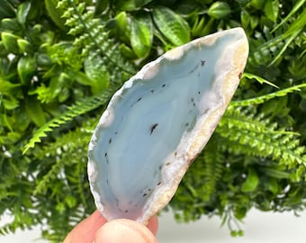 Peut inclure: Une tranche d'agate bleu clair avec des bandes blanches et brunes et des inclusions noires. L'agate est translucide et a une surface lisse et polie.