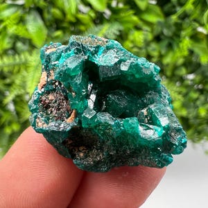 Spécimen de cristal de dioptase verte, Congo
