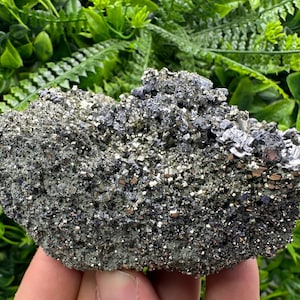 Wonderful shiny Galena on Pyrite from Borieva mine,Bulgaria,natural,collection mineral sepcimen,home decor stone,gift minerals,galena cluste
