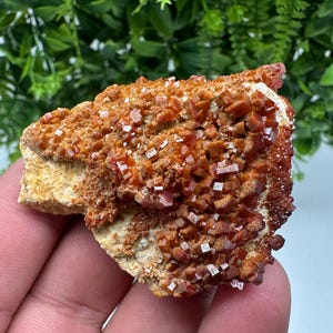 Red Vanadinite on Barite from Marocco,crystal minerals Speciment cluster Vanadinite crystal Vanadinite Geology Vanadinite cluster minerals