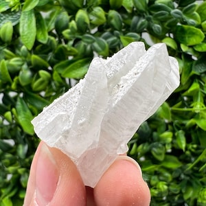 Wonderful Transparent Quartz whit Pyrite,from Krushev dol mine,Bulgaria,natural minerals,collection crystal,home decor stone,gift,quartz cls