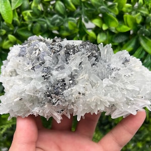 Wonderful Sphalerite,Galena,Pyrite on Quartz,from Borieva mine,Bulgaria,natural minerals,souvenir crystal,home decor stone,collection cluste