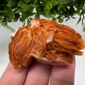 Wunderbarer Baryt mit Cerussit auf Galena aus Marokko, Bleikristall, Bleikristall,Cerussit Kristall,Kristalle, Bleikristall,