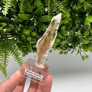 TOP QUALITY! Golden Phantom Selenite Slabs. Fishtail Selenite. Utah Raw Golden Selenite Slab / Wands. Utah Selenite. Sheet Selenite. Gift
