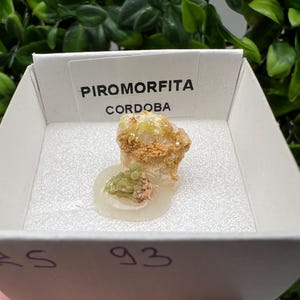 Pyromorphite Stone / Pyromorphite on Matrix / Pyromorphite Crystal / Raw Crystal / Pyromorphite Cluster / Rough Pyromorphite / Pyromorphite
