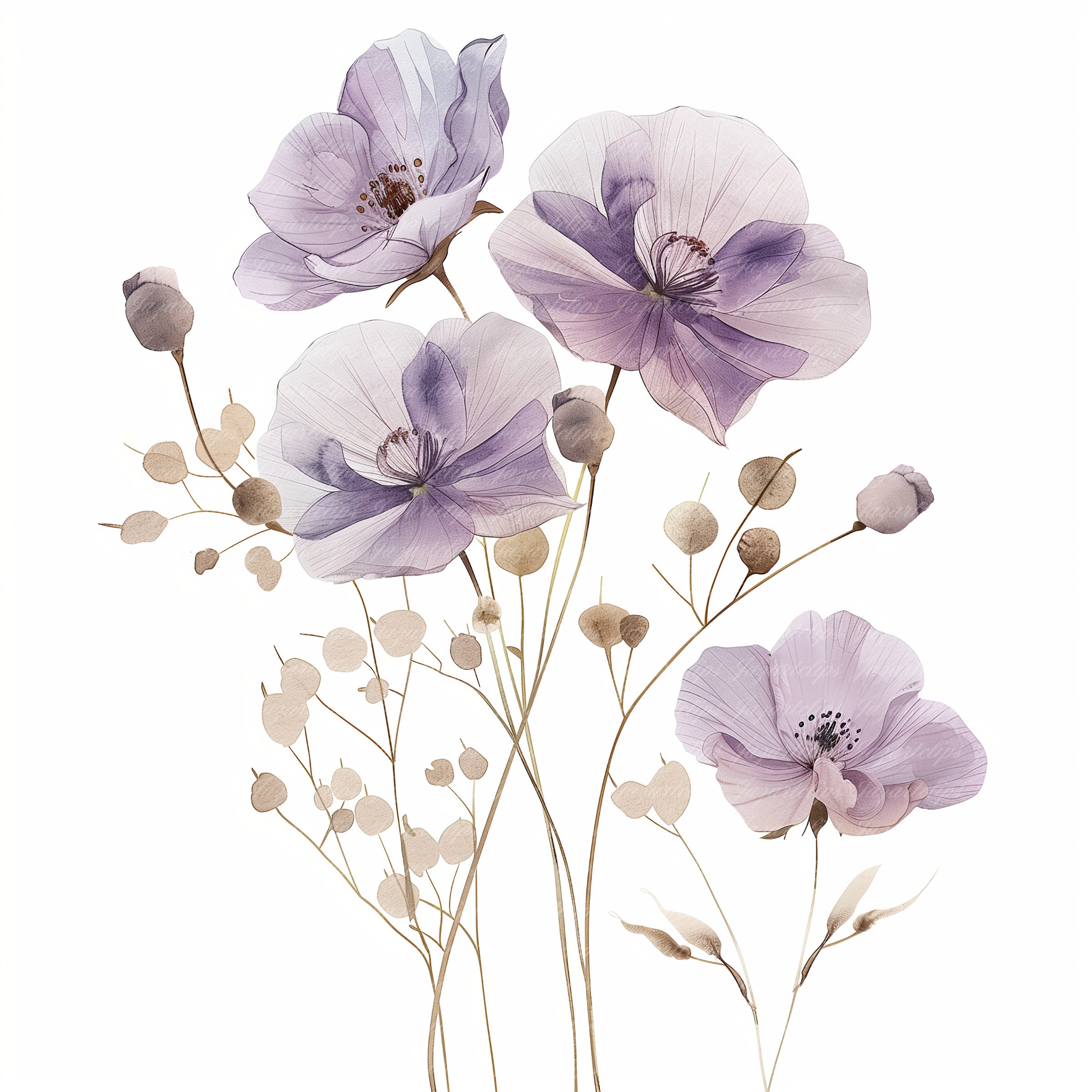 9 Abstract Flowers Clipart, Dried Flowers, Printable Watercolor Clipart ...
