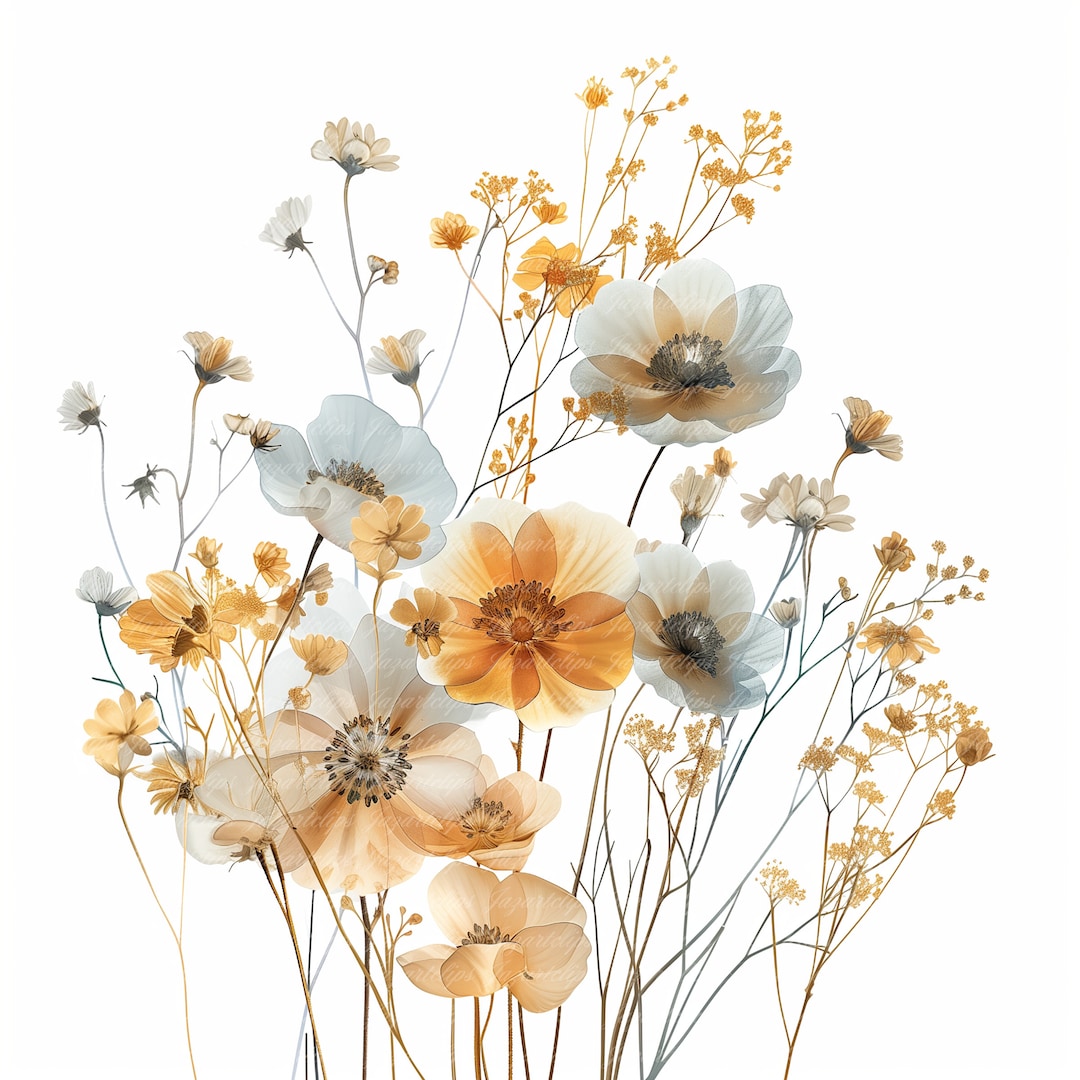14 Wild Flowers Clipart, Dried Flowers, Printable Watercolor Clipart ...