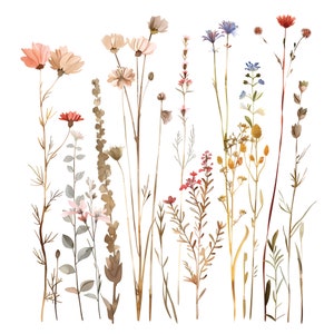 11 clipart de flores em aquarela, impressão de flores secas, clipart em aquarela para impressão, download digital, artesanato em papel, lixo eletrônico, uso comercial