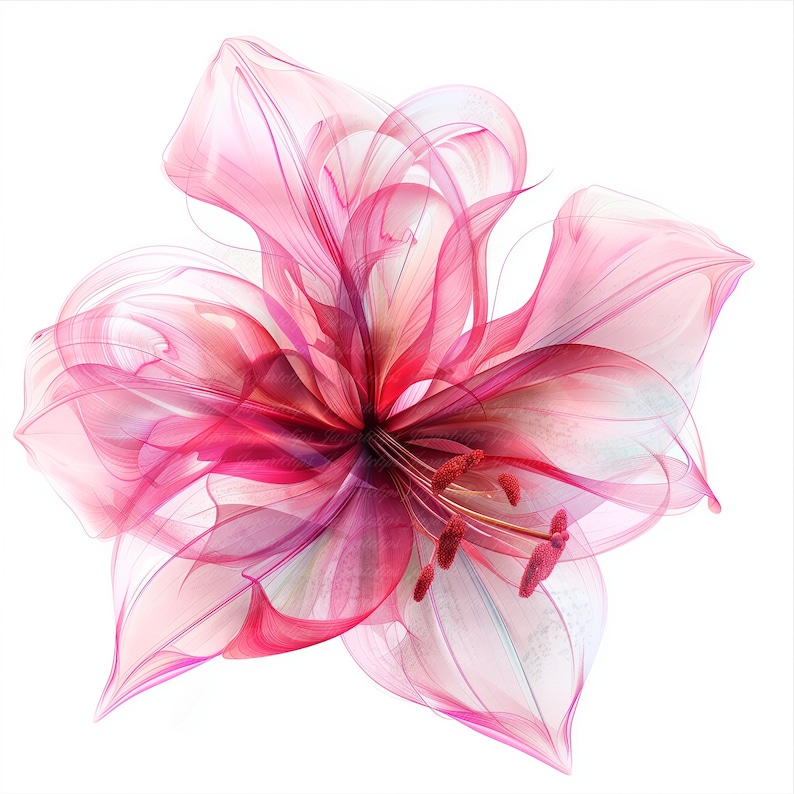 13 Abstract Watercolor Flowers Clip Art, Printable Clip Art, High