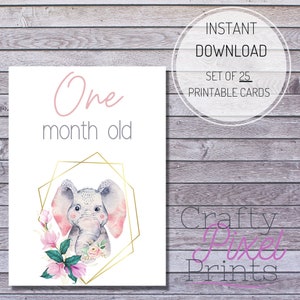 CARTE MILESTONE BAMBINO, Elefante Boho, Carte pietra miliare digitali, stampabili, Carte pietra miliare Ragazzi, Carte pietra miliare Ragazze, Set di carte pietra miliare