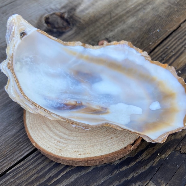 Oyster Shell Dish | Oyster Jewelry Dish | Jewelry Dish | Gift | Natural Shell Dish | Home Decor | Spice Dish | Oyster Ring Dish