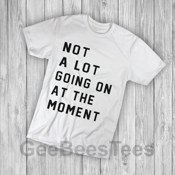 Not A Lot Going On At The Moment Funny T-shirt Taylor Swiftie Inspired Birthday Gift