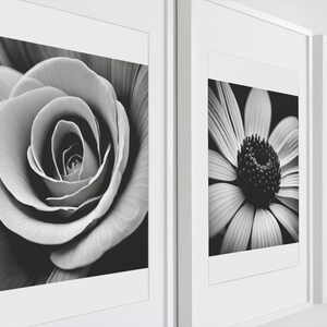 May include: Three black and white framed photographs of flowers. The first photo shows a close-up of a rose. The second photo shows a daisy. The third photo shows a lily.