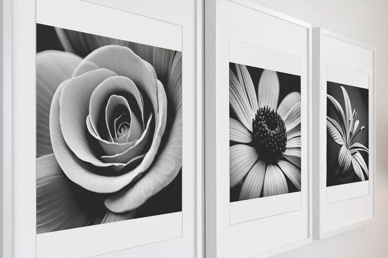 May include: Three black and white framed photographs of flowers. The first photo shows a close-up of a rose. The second photo shows a daisy. The third photo shows a lily.