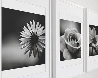 Ensemble d'oeuvres d'art florales monochromes : impressions florales en noir et blanc (téléchargement numérique)