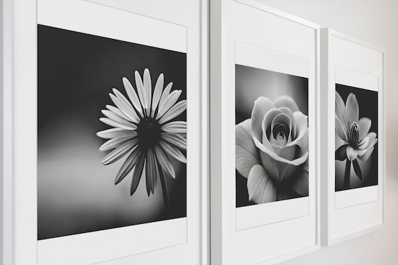 Monochrome Flower Art Set: Black and White Floral Prints (Digital Download)