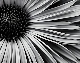 Monochrome Flower Art Print: Black and White Floral Close-Up (Digital Download)