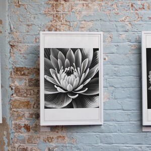 May include: Three black and white framed photographs of flowers. The center photo shows a close-up of a white flower with a dark center. The photo on the left shows a white flower with a dark center and the photo on the right shows a white flower with a yellow center.