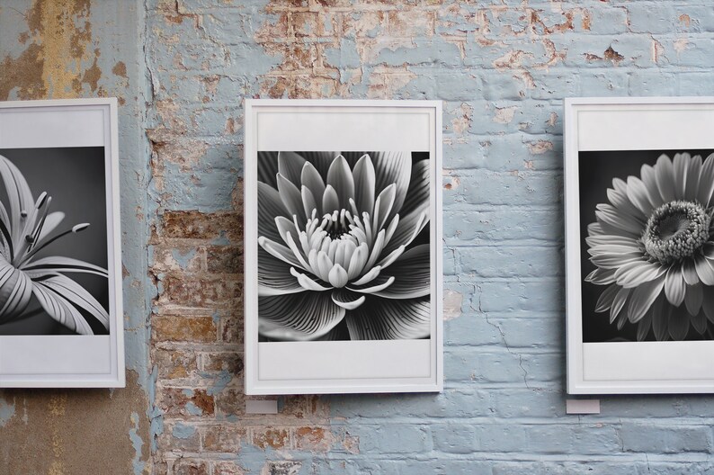 May include: Three black and white framed photographs of flowers. The center photo shows a close-up of a white flower with a dark center. The photo on the left shows a white flower with a dark center and the photo on the right shows a white flower with a yellow center.
