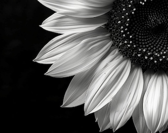 Monochrome Sunflower Art Print: Black and White Floral Photography (Digital Download)