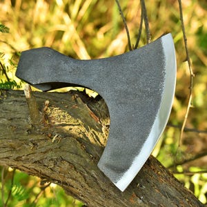 May include: A black axe with a curved blade and a wooden handle. The axe is resting on a tree branch.