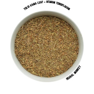 Tulsi (Rama) Leaf  | Ocimum Tenuiflorum | Holy Basil | Organic Tulsi