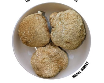Cogumelos Juba de Leão Desidratados | Juba de Leão | Cogumelos Juba de Leão Naturais | Inteiros ou em Pó
