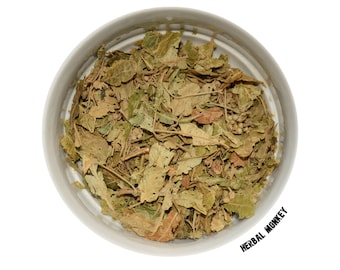 Flor de Tília | Tilia Miqueliana Maxim | Flores de Tília Orgânicas | Chá de Tília | Remédio para Insônia no Sono | Alívio Natural da Ansiedade | Relaxamento