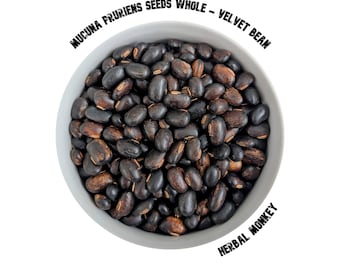 Mucuna pruriens seeds whole - Velvet Bean | Macuna Pruriens | Natural Untreated