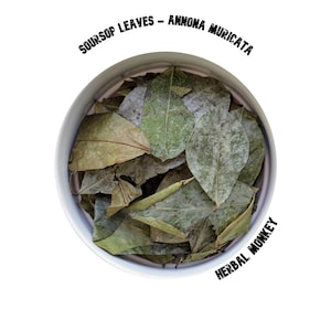 Soursop Natural Leaves | Annona Muricata | High Quality Soursop Leaves