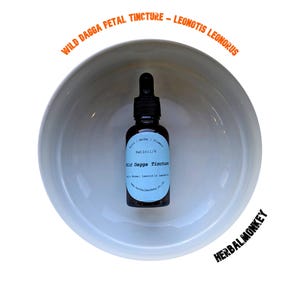 Wild Dagga Petal Tincture 30ml | Leonotis Leonorus | 1:6 30ml