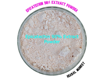 Epicatechin Extract Powder – 90% | Premium Botanical Extract